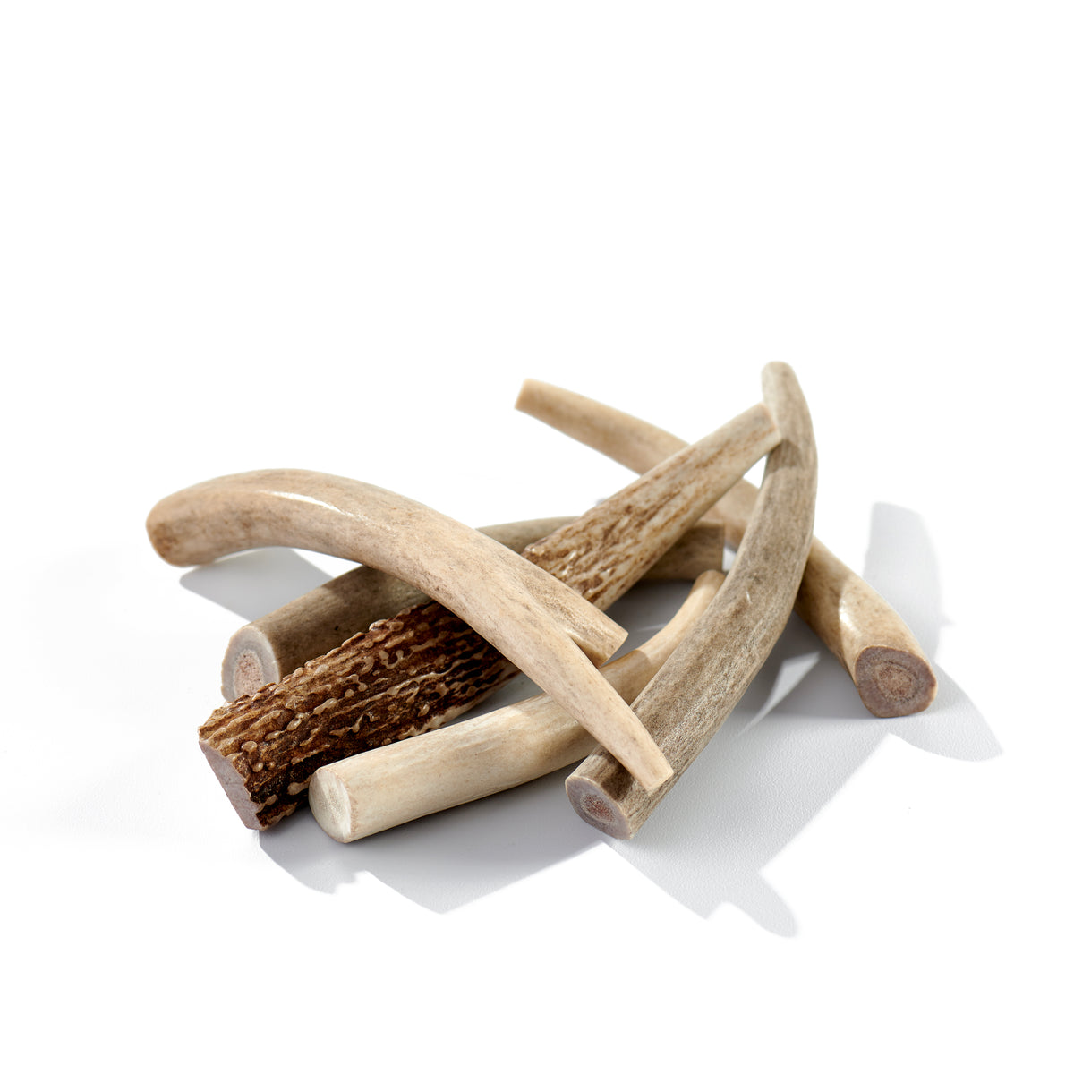 Deer antler 2025 chews for dogs